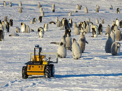 Meet the robot watching over Emperor penguins 